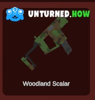 Cosmetic skin in Unturned